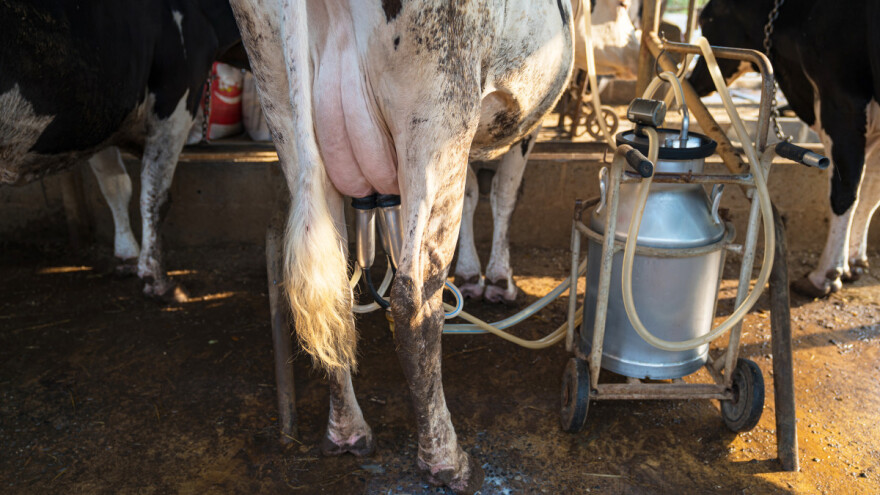 Ne zna se šta nosi zima, očekuje se manje mlijeka u USK