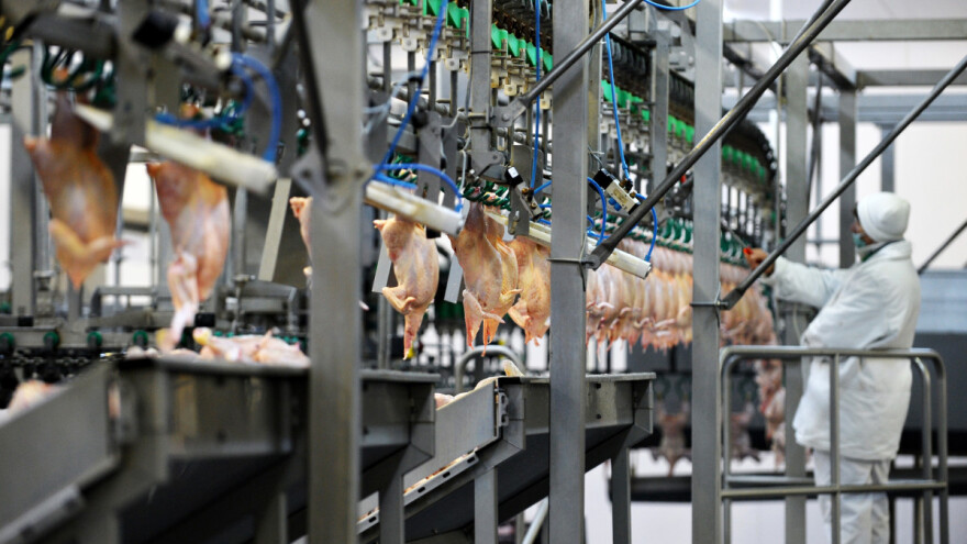 Poplava jeftinog uvoza smrznute piletine uništila živinarsku industriju Gane?