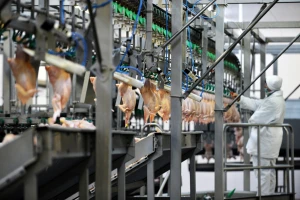 Poplava jeftinog uvoza smrznute piletine uništila gansku peradarsku industriju?