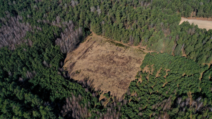 Federacija će konačno šume zakonski zaštititi, evo šta se zabranjuje