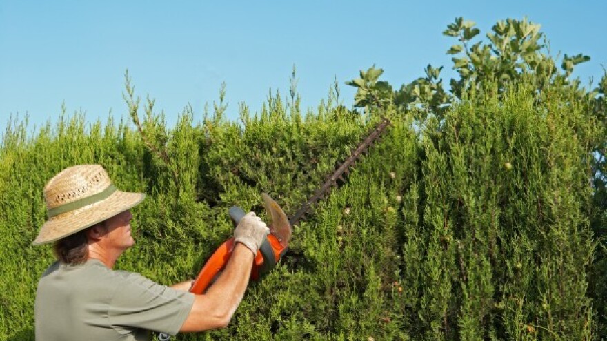 Uz trimer, na poklon električne škare za živicu!