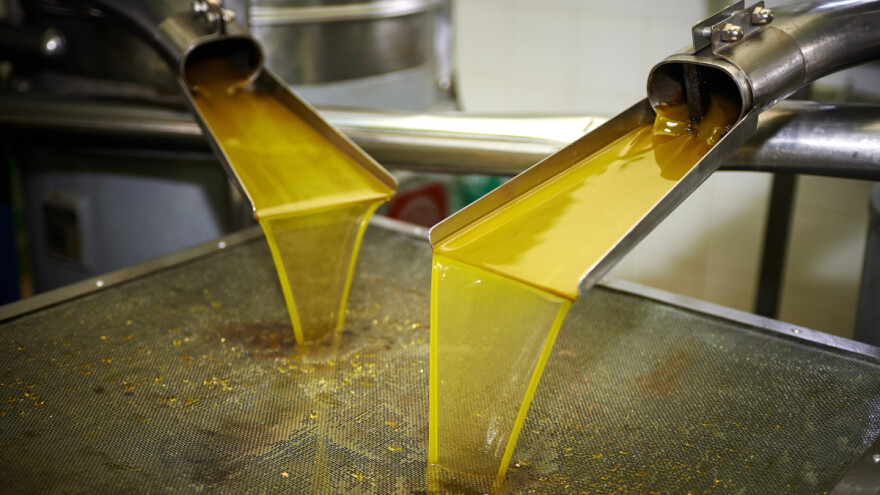 BiH će u 2024. zaštititi i brendirati ekstradjevičansko maslinovo ulje?