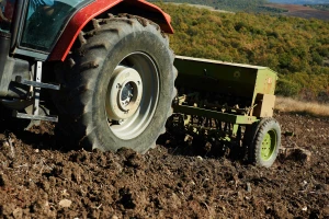 Za ovogodišnju setvu pšenice, rod 2022. naplatiti 25 dinara po kilogramu?