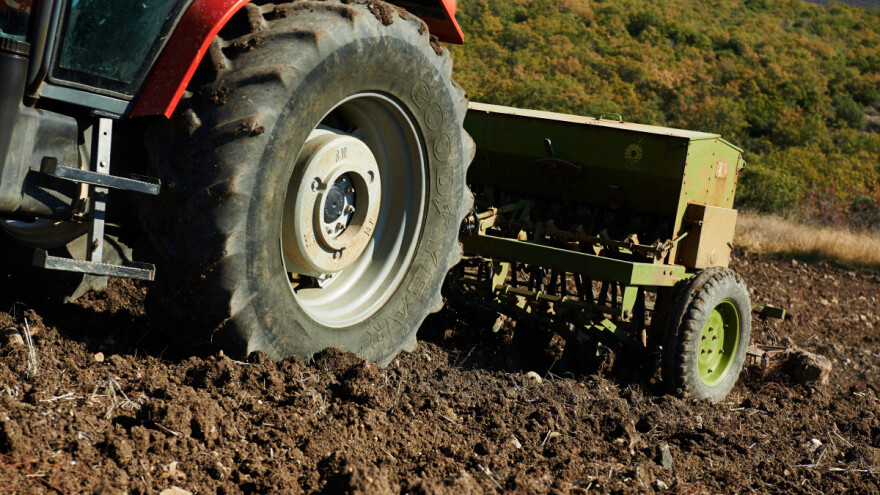 Za ovogodišnju setvu pšenice, rod 2022. naplatiti 25 dinara po kilogramu?