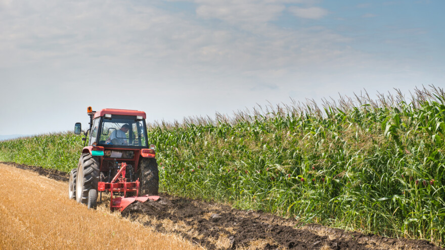 Upotreba pluga donosi više gubitaka nego koristi?