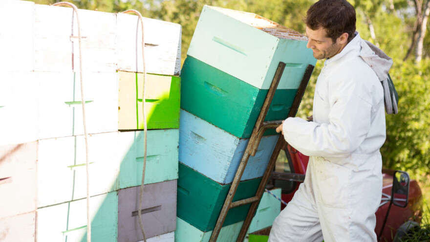 Kako pripremiti košnice za selidbu i transport?