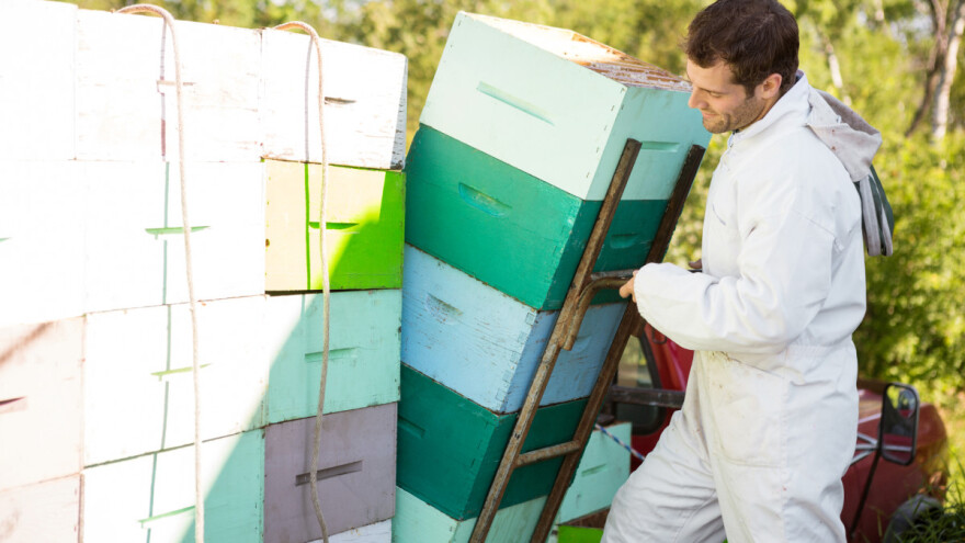 Kako pripremiti košnice za selidbu i transport?