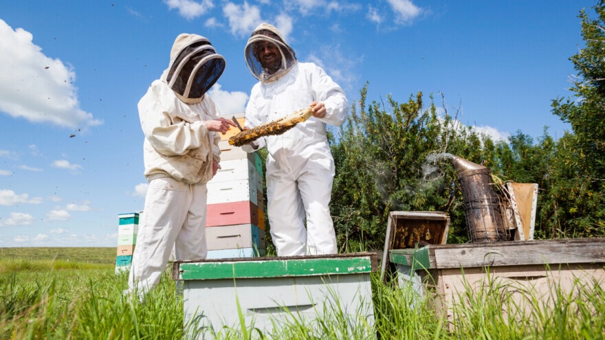 U toku prijave za 9. Kongres o pčelarstvu u Sarajevu