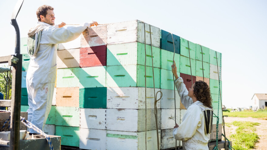 Obuka za mlade pčelarke i pčelare - prijave do 23. oktobra