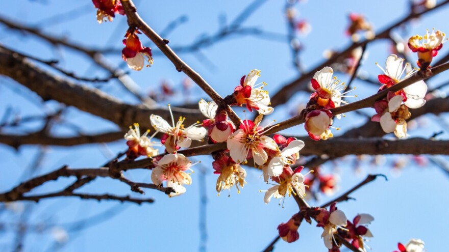 Mart prevrtljiv do kraja - bit će mraza, a i snijega