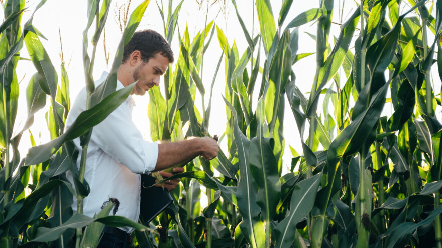 Postignut evropski dogovor o NGT biljkama, ne smatraju ih "pravim" GMO-ima