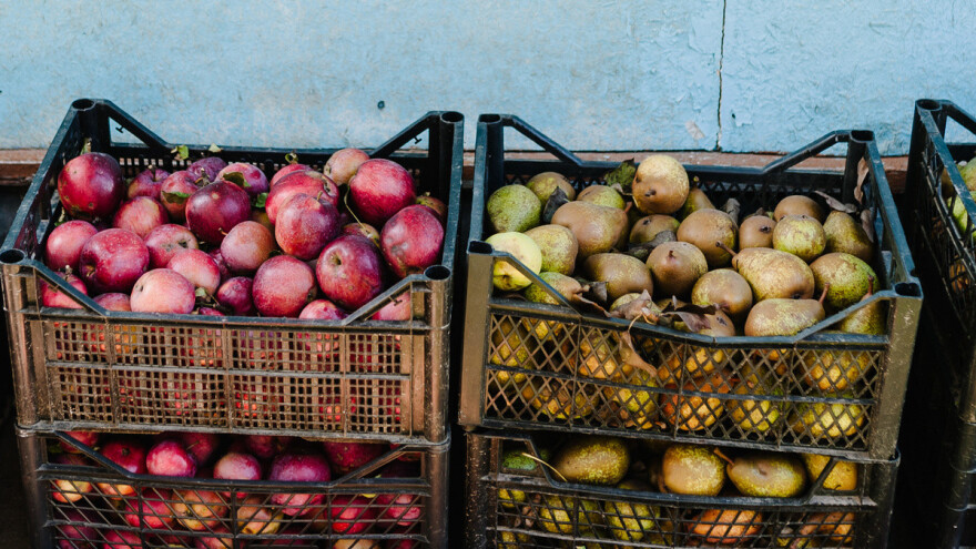 Čuvanje plodova jabuke i kruške - ostavite im i poneki list