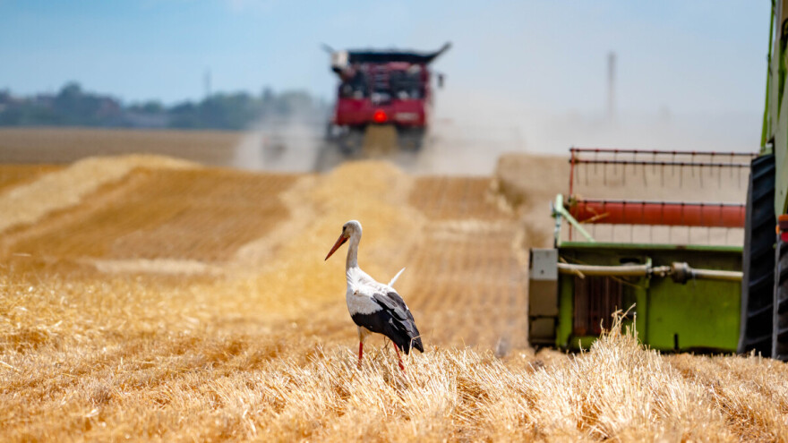 Od Crnog mora do SAD-a - ekstremni vremenski uslovi ugrožavaju usjeve