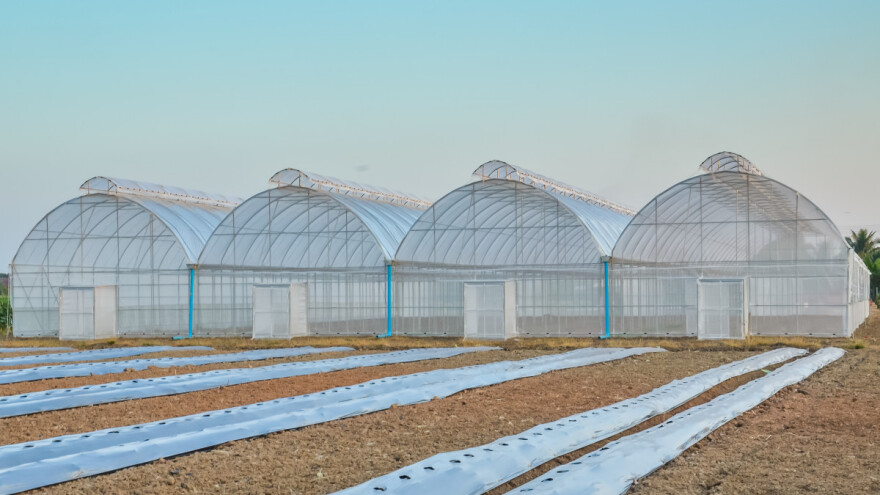 Objavljen poziv tuzlanskim poljoprivrednicima za dodjelu plastenika