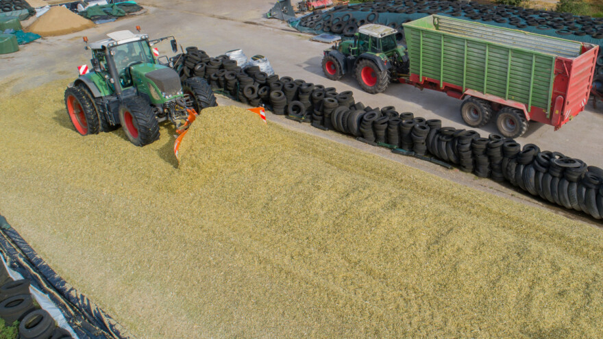 Počinje prikupljanje uzoraka za natjecanje u kvaliteti kukuruzne silaže