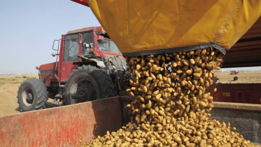 Prve pošiljke krumpira su poslane, jačamo suradnju s Ukrajinom