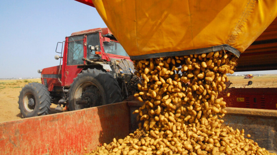 Koja EU zemlja proizvodi najviše krumpira?