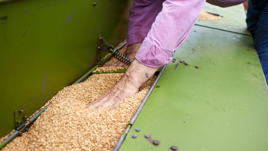 Uspješnost sjetve zavisi od podešenosti sijačice