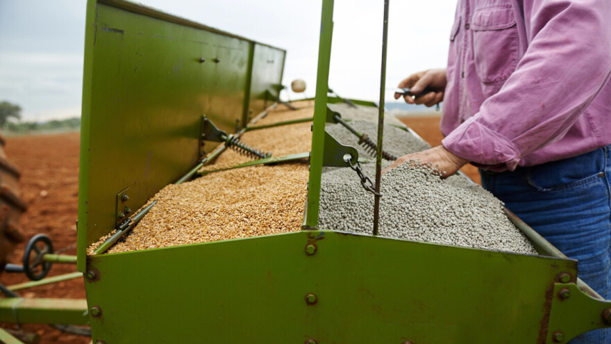 Uoči sjetve, savjetodavci podsjećaju na važnost deklariranog sjemena zbog smrdljive snijeti