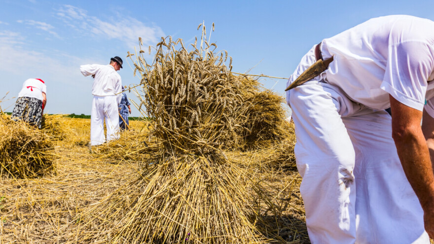 Starinska žetva očekuje vas u Velikom Grđevcu, a prvi put i Traktorijada