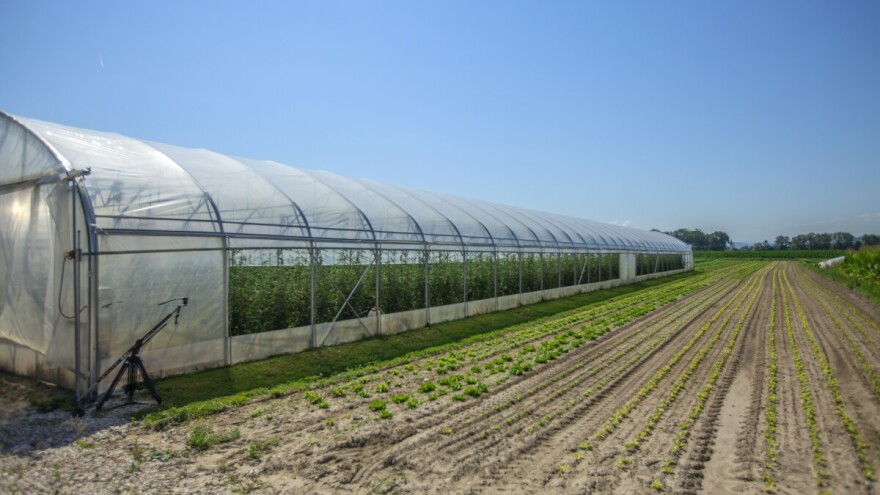 Otvoren poziv za dodjelu 40 plastenika u Zenici