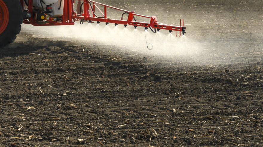 Zašto bi trebalo suzbijati korove u jesen nakon skidanja usjeva?