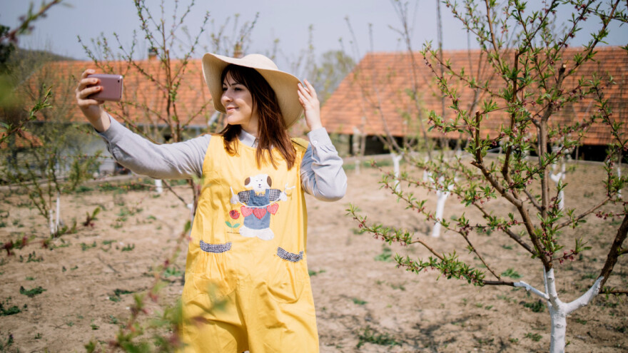 Šta ima, šta sadiš? Igraj i osvoji presadnice!