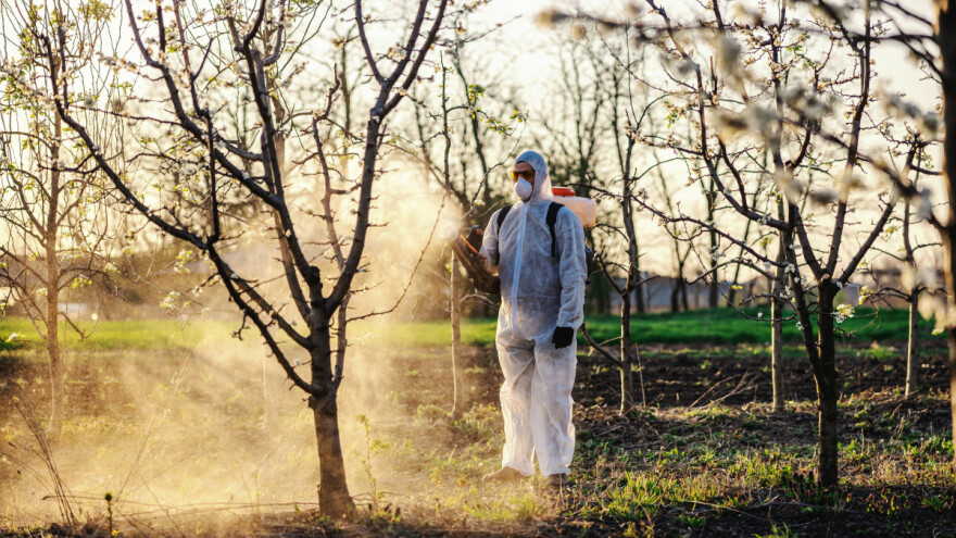 Zimsko prskanje ključno je za zaštitu voćaka, maslina i vinove loze