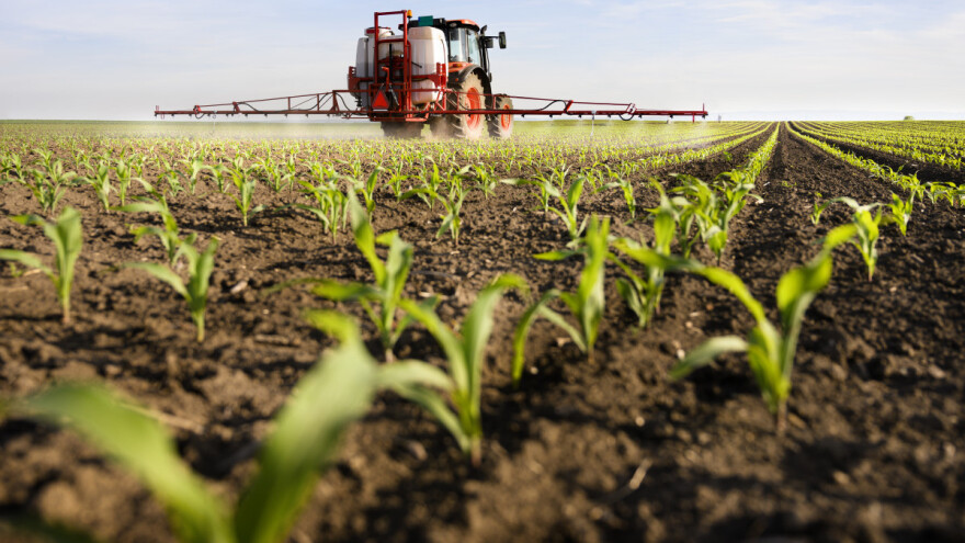 Svi koji su konkurisali za subvencije po hektaru dobijaju 18.000 dinara