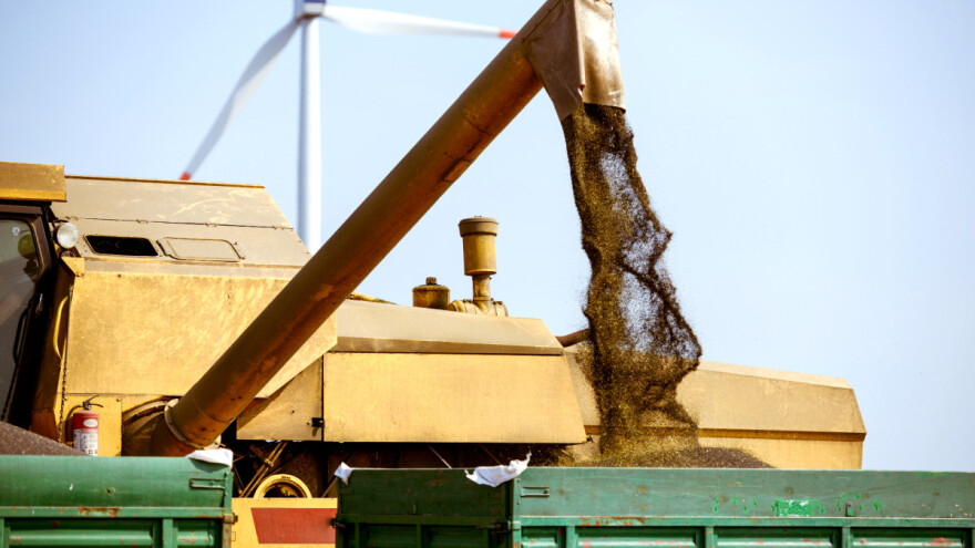 I dalje raste cijena uljane repice na globalnom tržištu: Rast će i njezina proizvodnja u EU?