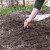 April: Šta sejati, saditi i raditi u bašti? Evo sedam saveta