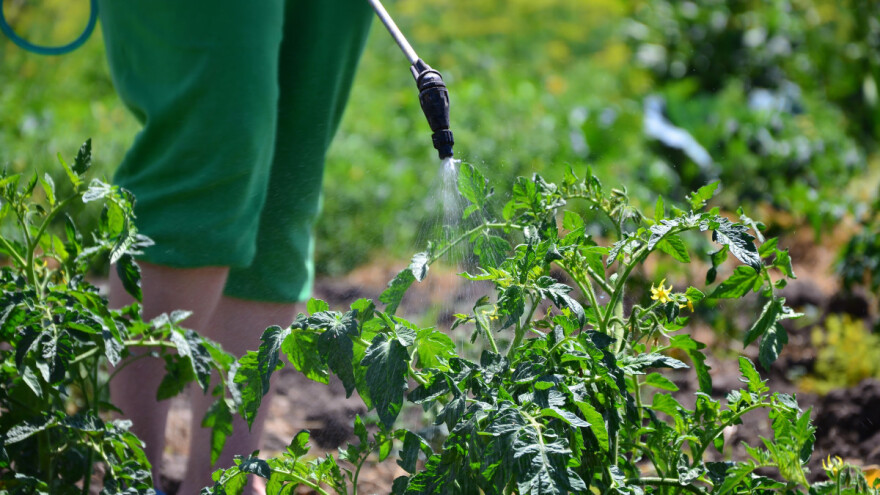 Kada se primjenjuju folijarna đubriva i koje su mu prednosti?