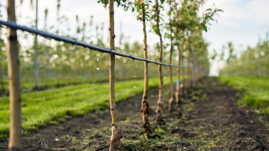Vlada ZDK odobrila sredstva za poticaje u poljoprivredi i zaštitu životinja
