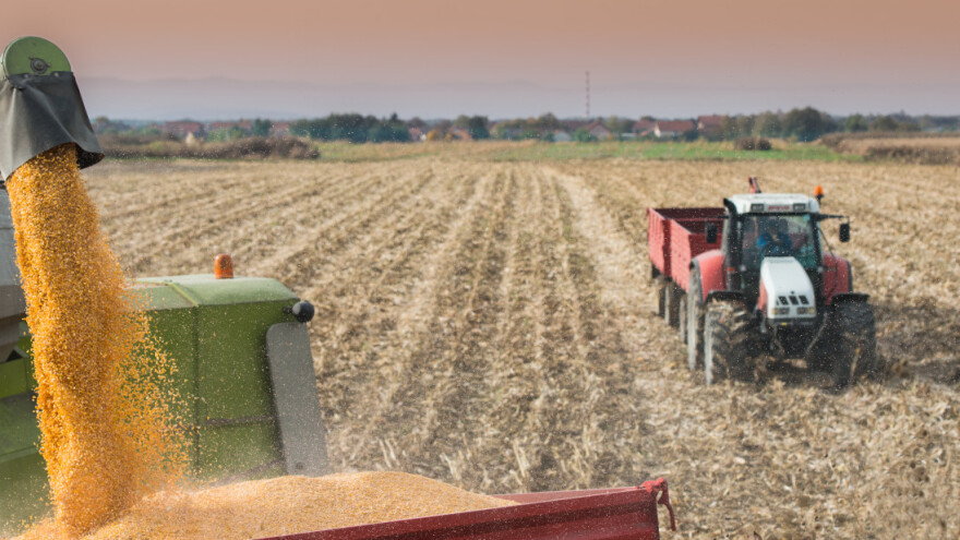 Rizik od kontaminacije mikotoksinima u ovogodišnjoj žetvi i kako utječe na proizvodnju