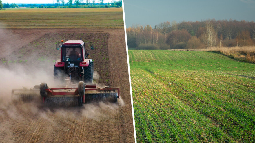 Gaženje biljaka dovodi do otpornosti i većeg roda