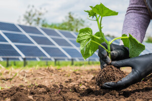 Konferencija Dani obnovljivih izvora energije 2025 u Splitu