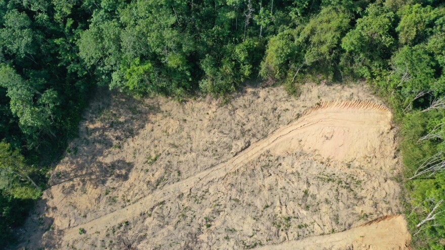 Stručnjaci upozoravaju: Novi virus mogao bi da dođe iz Amazonije