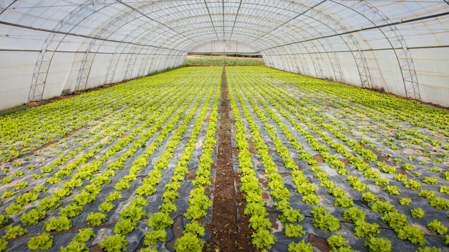 IPARD daje blizu četiri milijarde dinara - kako do njih