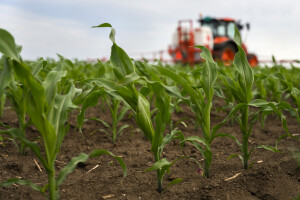 U zemljama EU 2020. prodano 346.000 tona pesticida - kojih najviše?