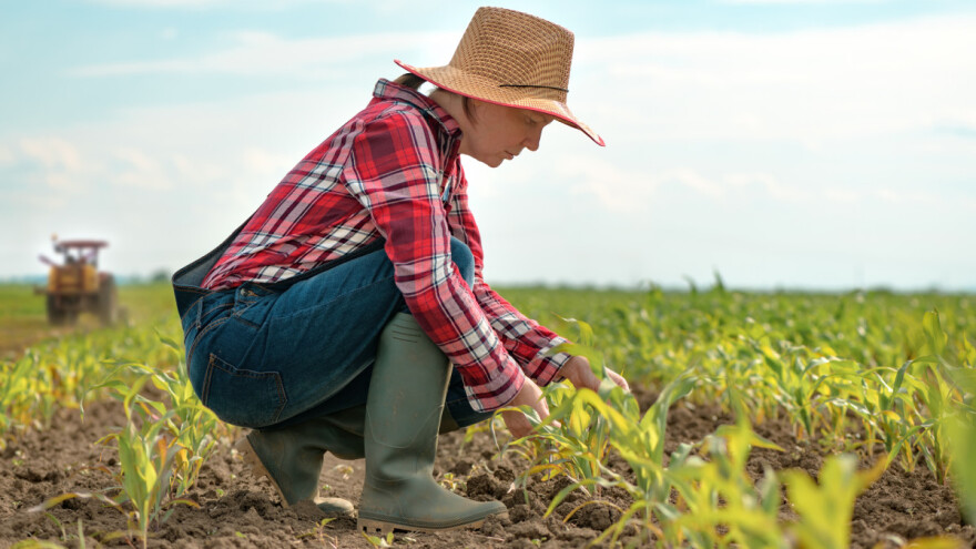 Žene upravljaju trećinom farmi na razini EU, a 37 posto njih je samozaposleno