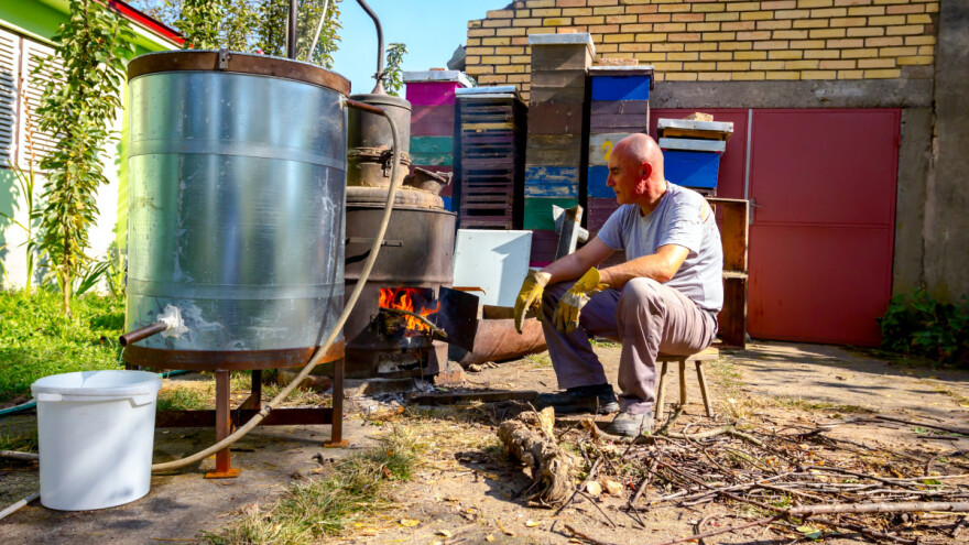 Jogoslovenski brend - šljivovica Ruđanka će ponovo u proizvodnju