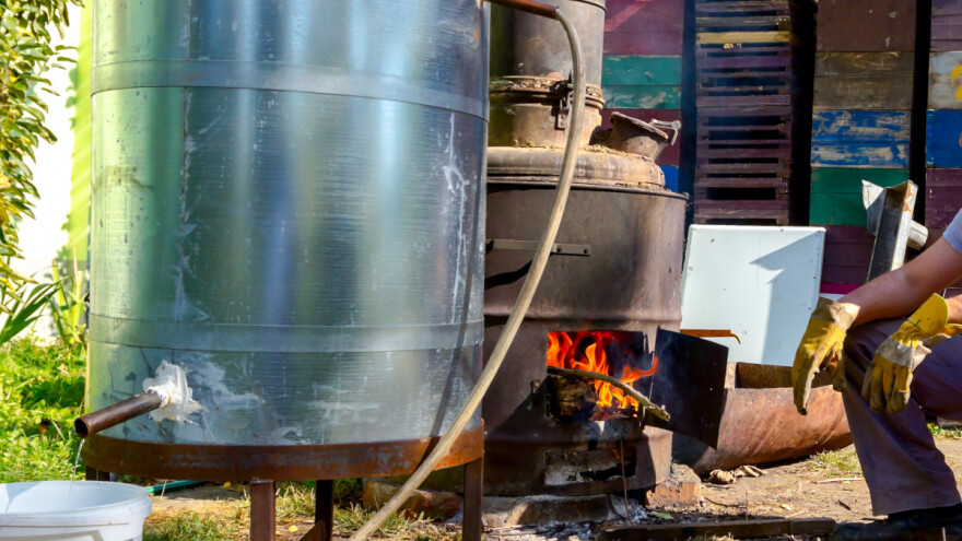 Osim rakije bez koje nema bilo kog praznika, u Višegradu sve češće prave i vino