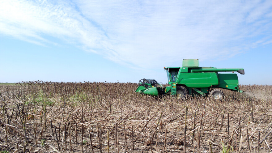 Osnovne smernice kod žetve suncokreta