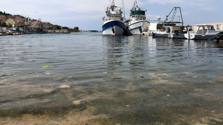 U Kalima na otoku Ugljanu prvi Festival plave ribe