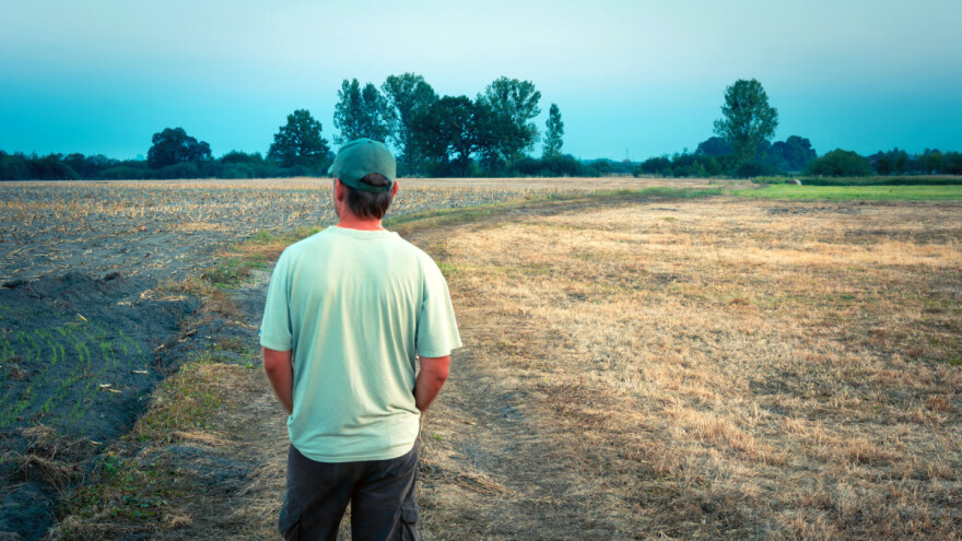 Argentina zbog suše smanjila izvoz žitarica: Čekaju nas globalni ekstremi