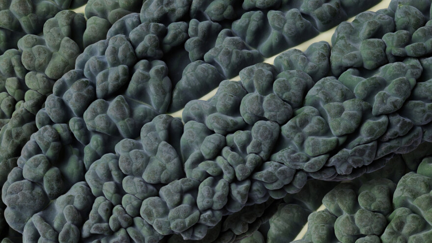 Toskanski kelj - ukusna kupusnjača koja podnosi niske temperature