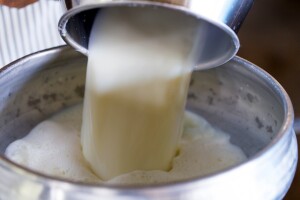 Mlijeka sve manje, cijene sve više – još će rasti?