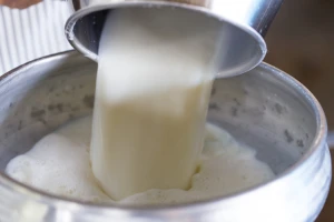Za subvencije preko 23 milijarde dinara, veća premija za mleko, odobren izvoz?
