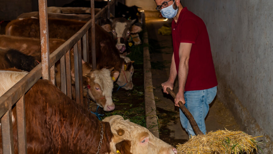 Na prvoj liniji: 27 zemalja će se boriti s prehrambenim krizama vođenim pandemijom