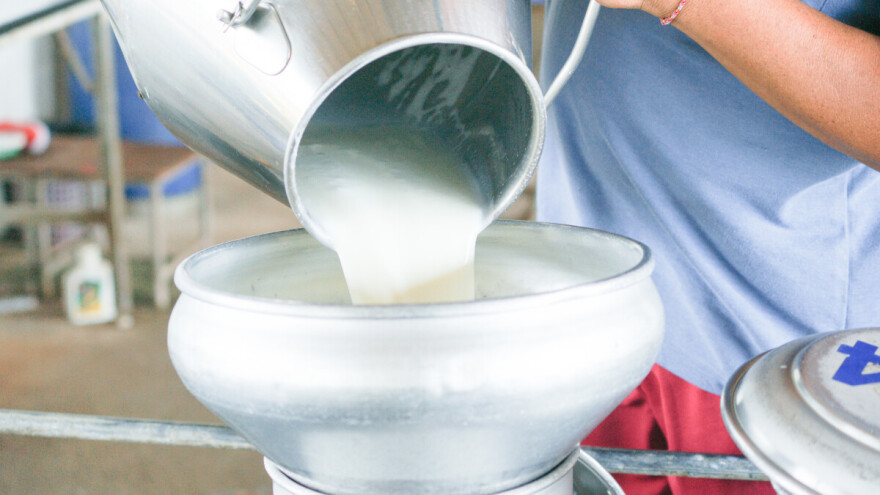 S 1. svibnja kreće podnošenje zahtjeva za potporu malim mljekarama